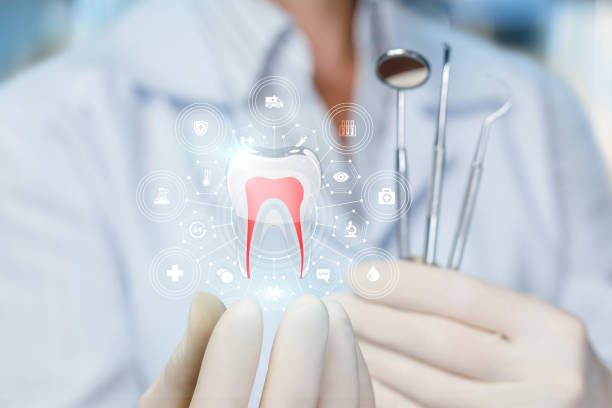 Professional Holistic Dental Care Services in Lattingtown, NY